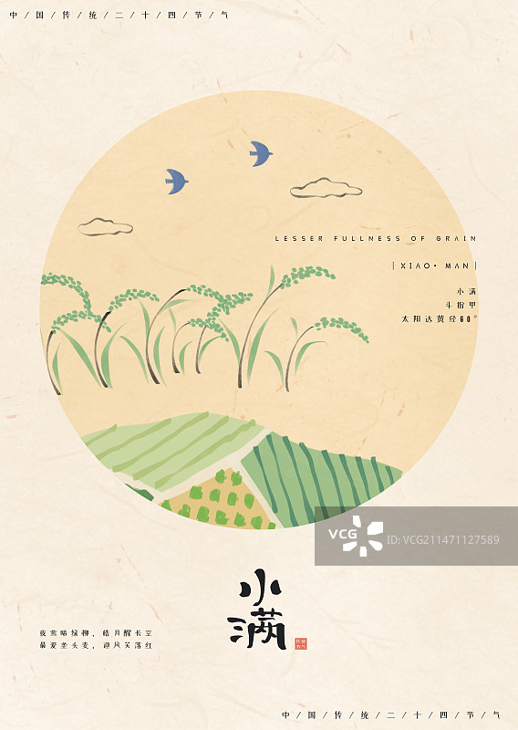 二十四节气之小满-手绘清新麦穗麦田插画图片素材