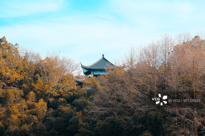 本是青灯不归客，却因浊酒恋红尘图片素材