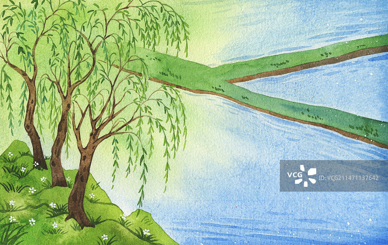 垂柳岸边图片素材