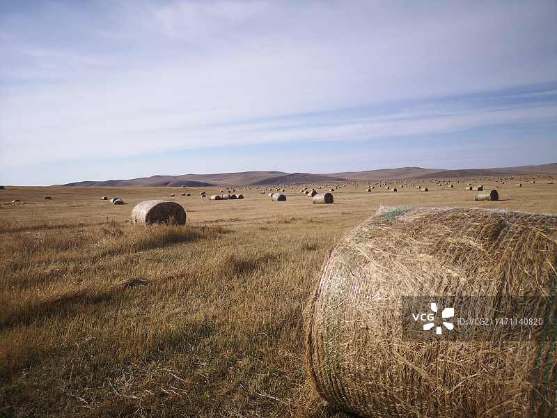 摄影静物图片素材