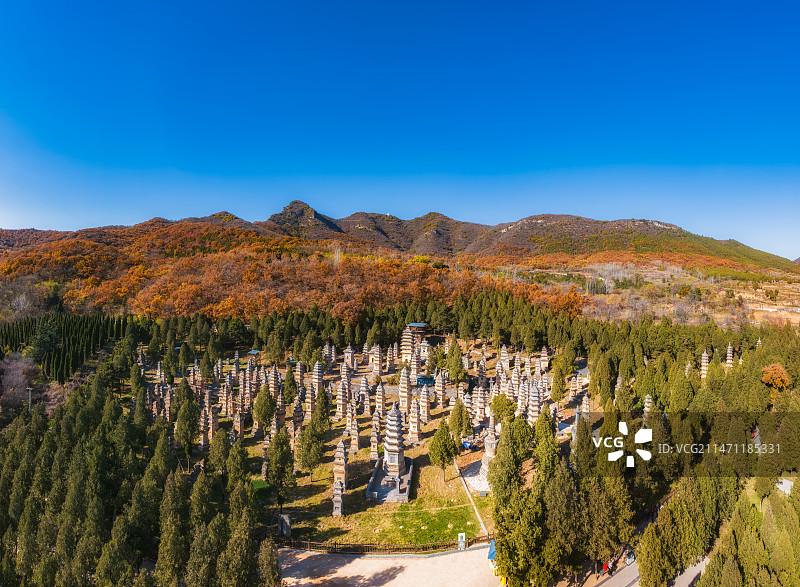 世界文化遗产、5A级旅游景区，河南省郑州市登封少林寺塔林秋景图片素材