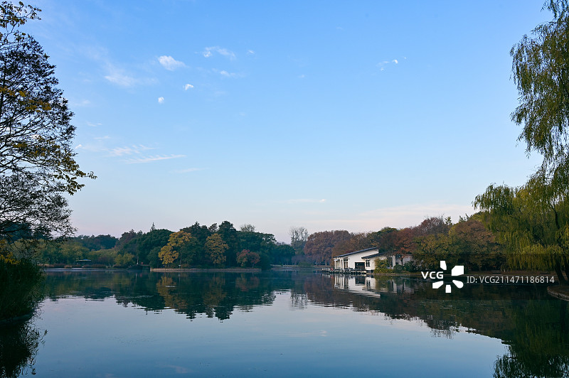 共青森林公园的冬日森林图片素材