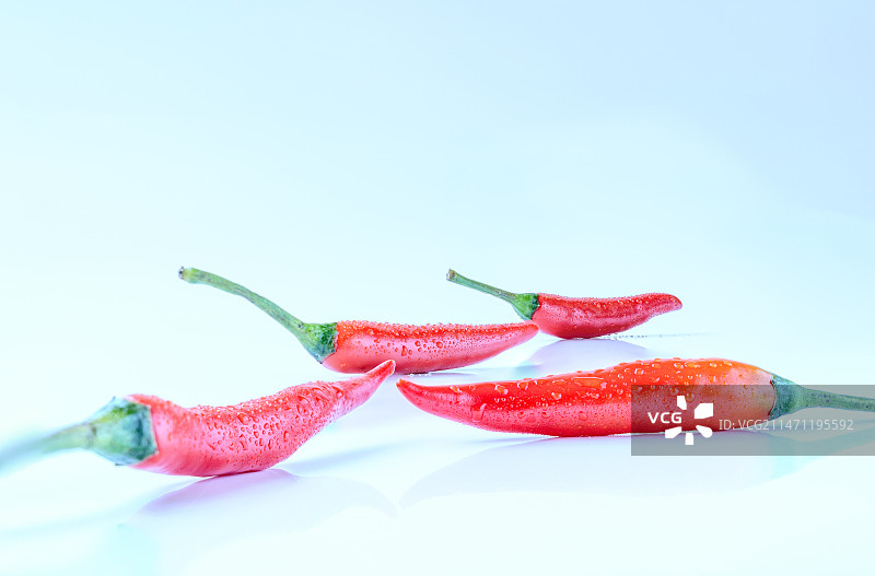 白色背景下的鲜艳红辣椒图片素材