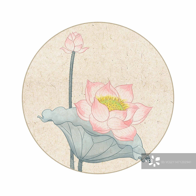 植物插画图片素材