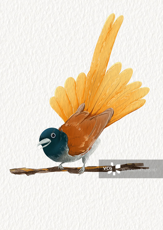 站在树枝上的鸟图片素材