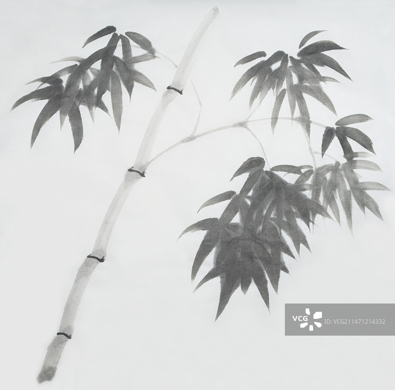 中国画水墨画《墨竹》图片素材