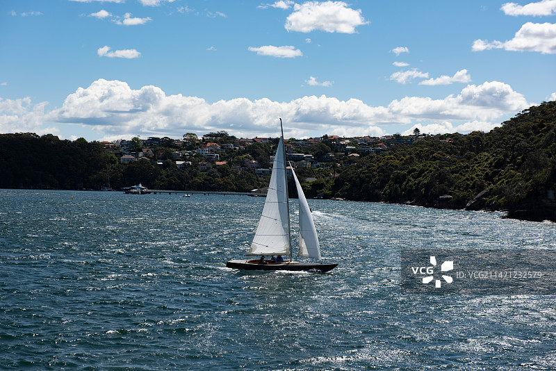 蓝天白云下的海上帆船图片素材