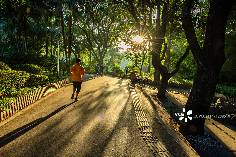 朝阳下的绿树、晨雾、草地、建筑物和晨跑的人图片素材