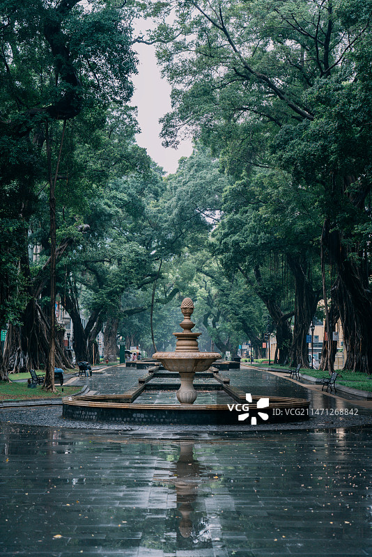 雨中沙面大街图片素材