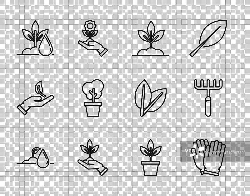 线性浇水、嫩芽、园艺手套、植物手图片素材