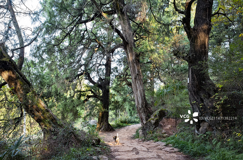 剑阁古蜀道拦马墙段图片素材