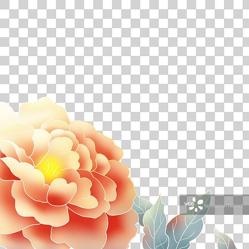 中秋节元素插画3—牡丹花图片素材