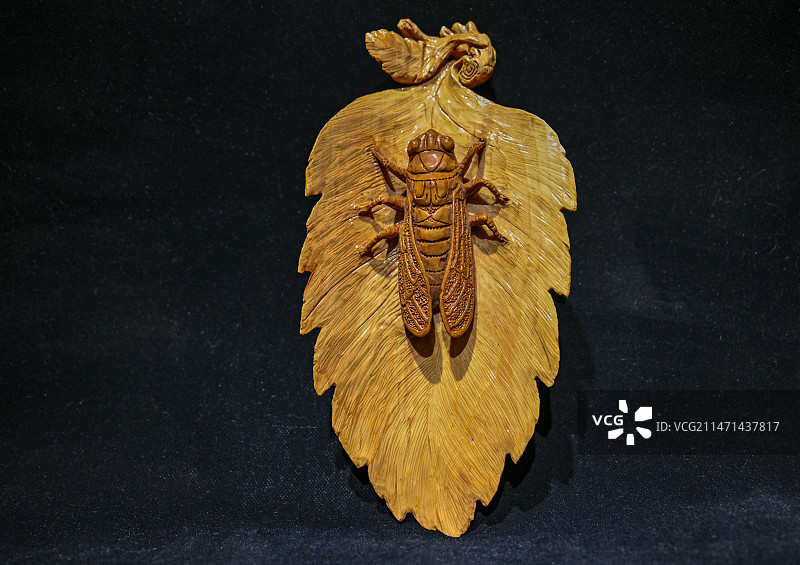 湖北宣恩县根雕艺术——一鸣惊人图片素材