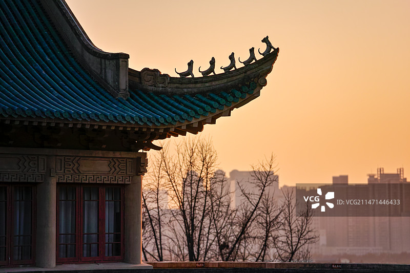 夕阳樱顶图片素材