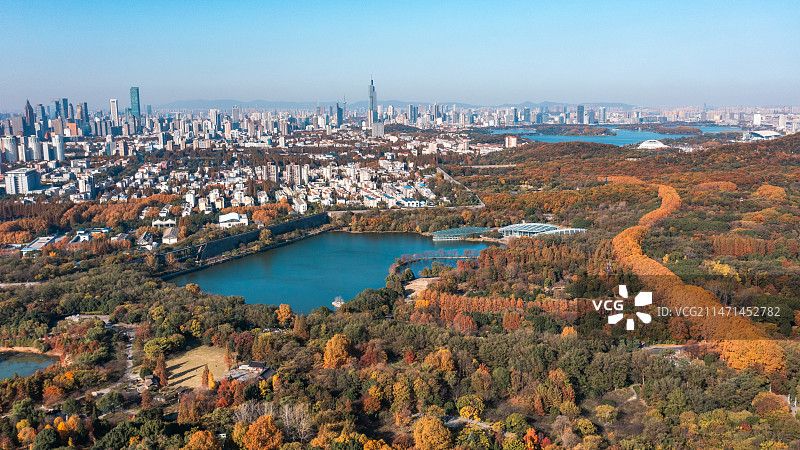 11月江苏南京钟山明孝陵中山陵秋色图片素材