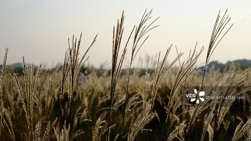 自然环境图片素材