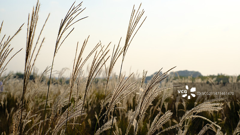 非都市风光图片素材