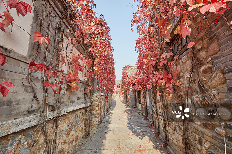 秋天北京古北水镇无人的小巷图片素材