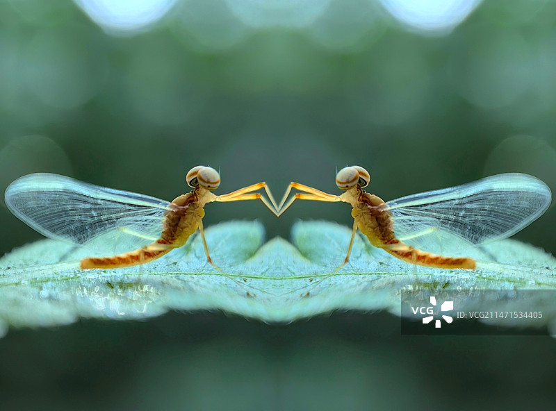 手拉手图片素材