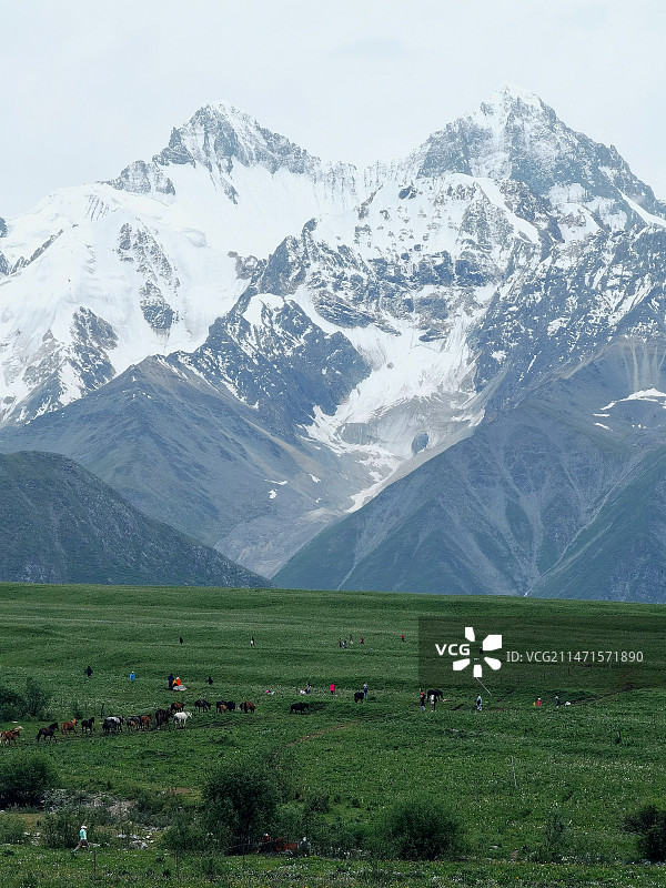 南彊美景图片素材