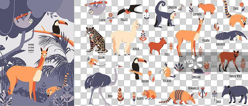 带有花卉元素的南美洲动物合集图片素材
