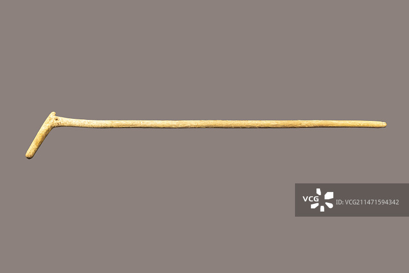 新疆维吾尔自治区博物馆“新疆历史文化展”：木手杖（距今约3000—2200年，且末县扎滚鲁克墓出土）图片素材
