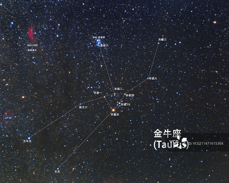 金牛座图片素材