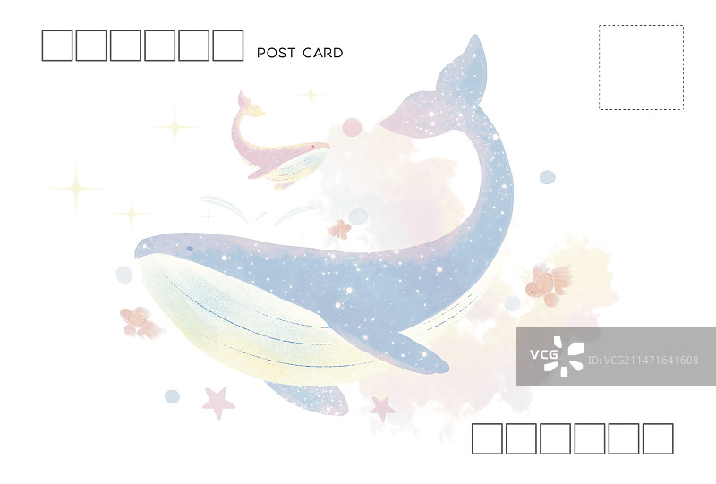 鲸 明信片设计图片素材