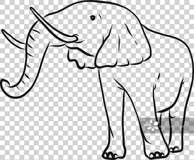 大象耳朵象牙素描图片素材