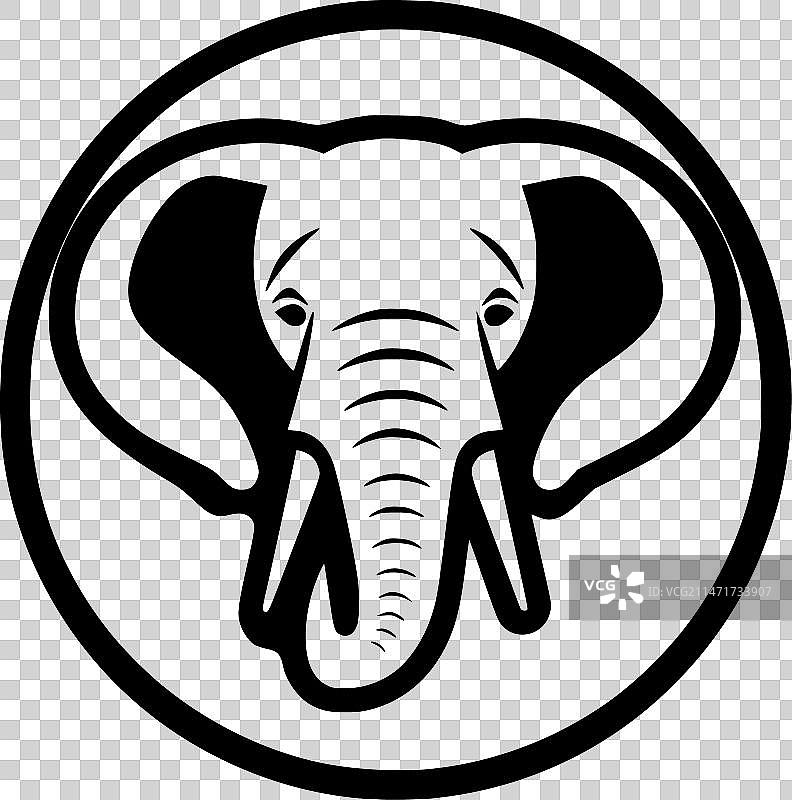 大象——黑白相间图片素材