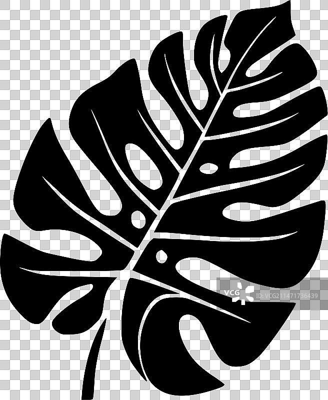 龟背竹黑白隔离图标图片素材