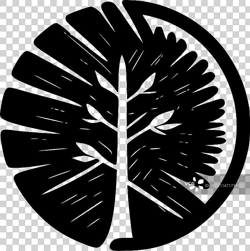 木纹 - 黑白图片素材