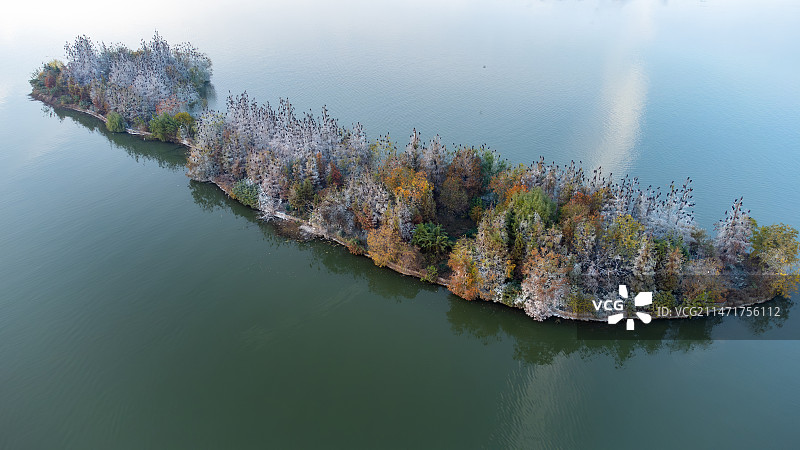 航拍视角下的东湖鸟岛图片素材