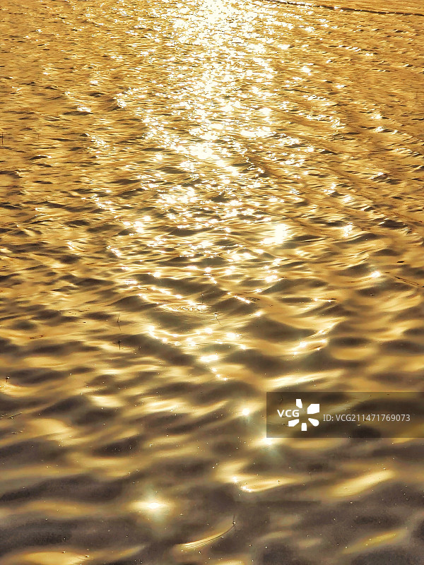 保定东湖公园图片素材