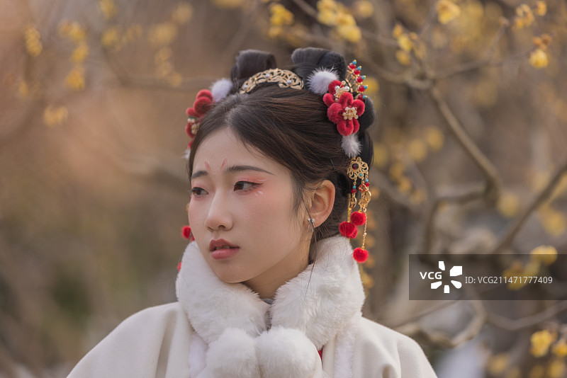 明制汉服小姐姐游园扬州瘦西湖图片素材