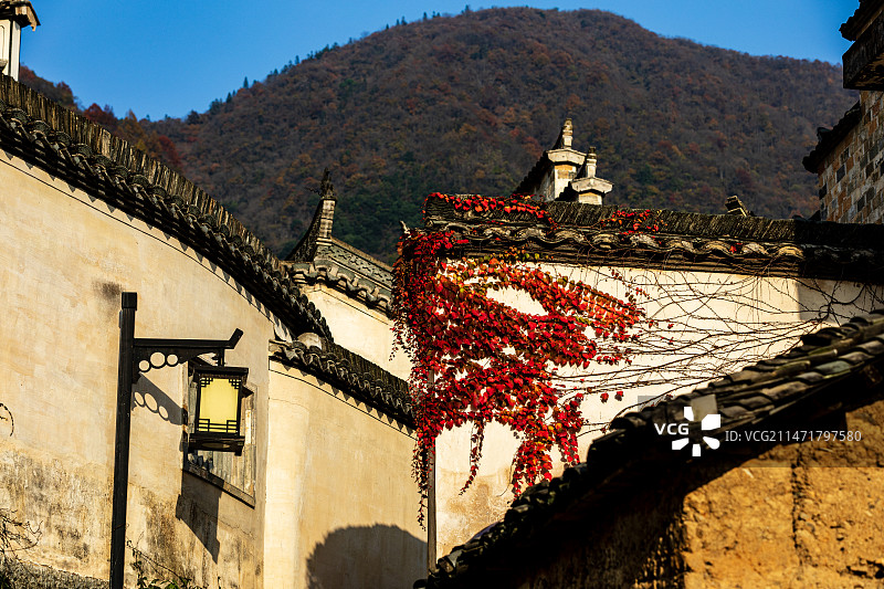 塔川秋景图片素材