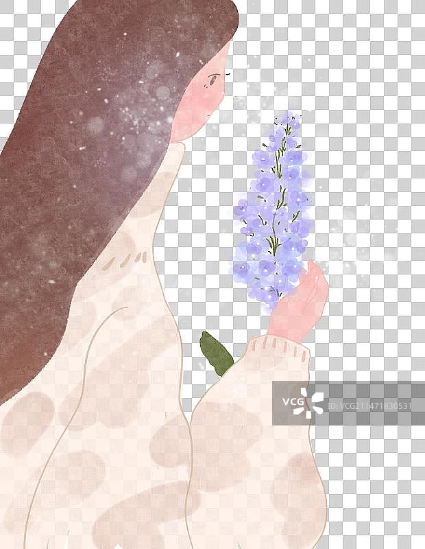 女孩与紫罗兰插画素材图片素材