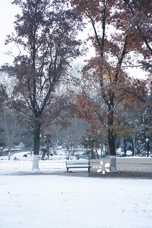 南京雪后公园里的椅子图片素材