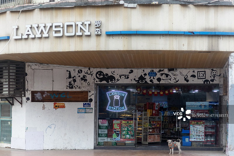便利店和流浪狗图片素材