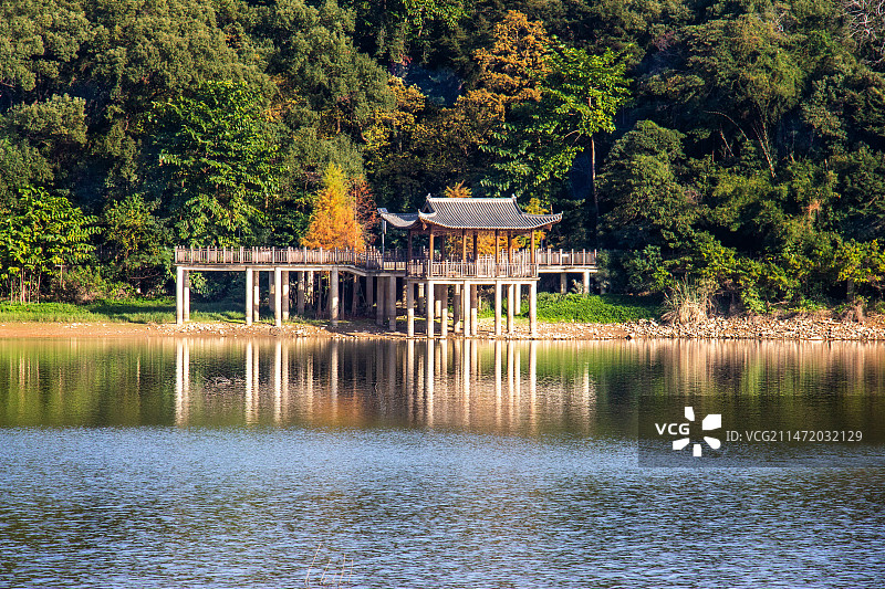 森林.栈桥.阳光图片素材