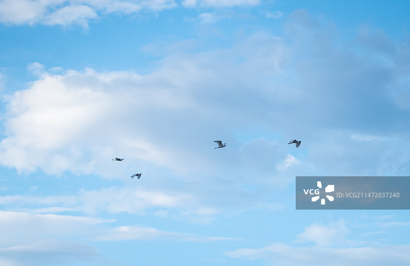 鸟瞰晴空的低角度鸟瞰图图片素材