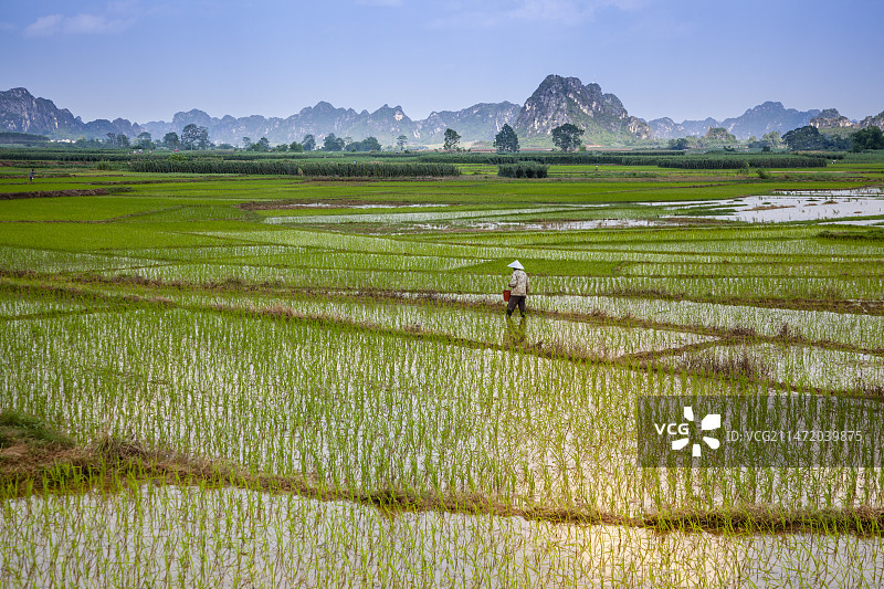 广西扶绥田园风光图片素材