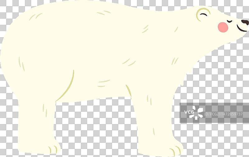 可爱的北极熊图片素材