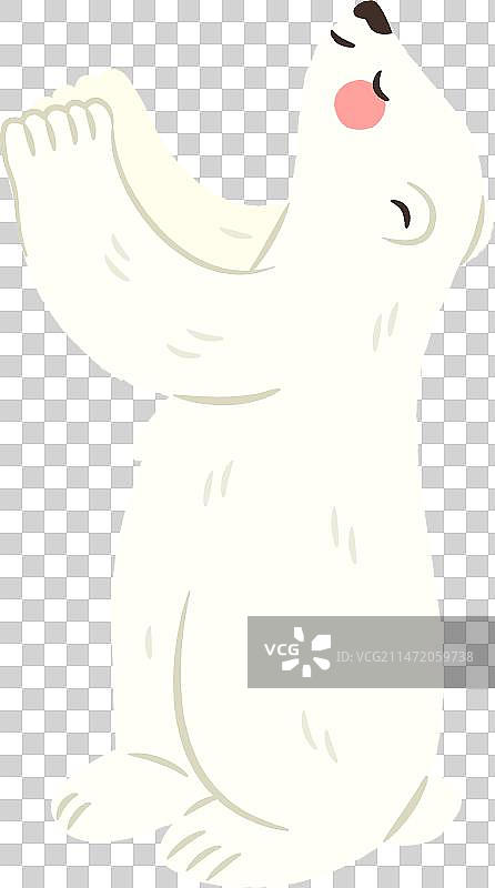 可爱的站立的北极熊宝宝图片素材