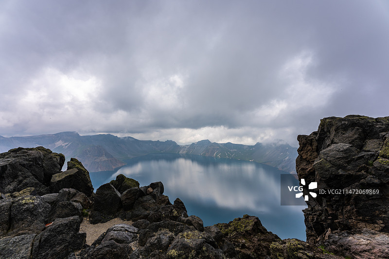 长白山北坡地质高原花朵图片素材