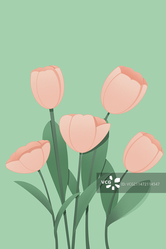 清新郁金香手绘素材图片素材