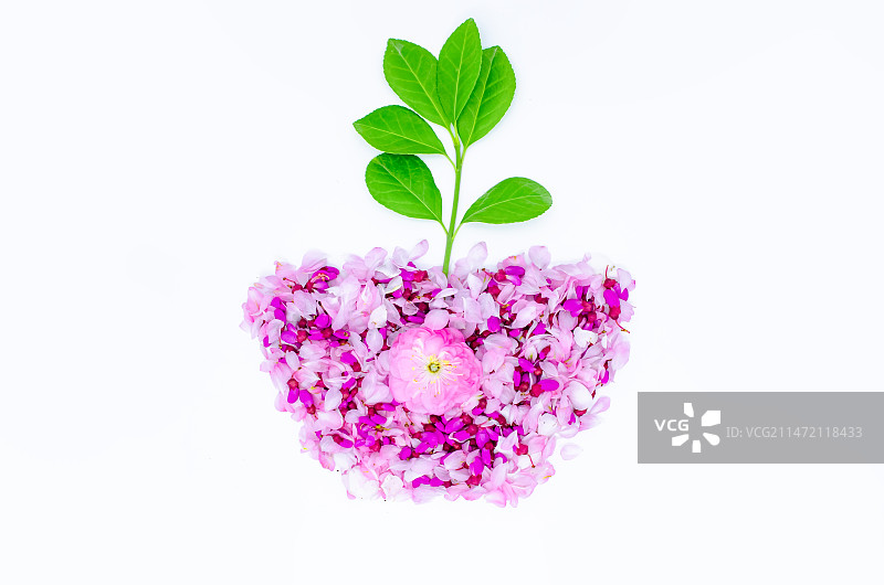 中国野生植物影棚拍摄主题，用重瓣榆叶梅花瓣和紫荆树花瓣排列组合的花盆盆栽几何形状，室内无人图像摄影图片素材