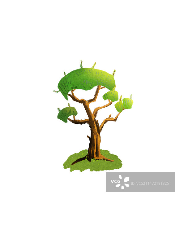 一颗松树图片素材