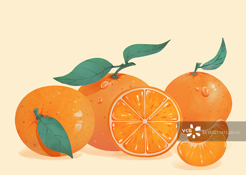 新鲜采摘带着叶子的新鲜砂糖橘手绘图片素材