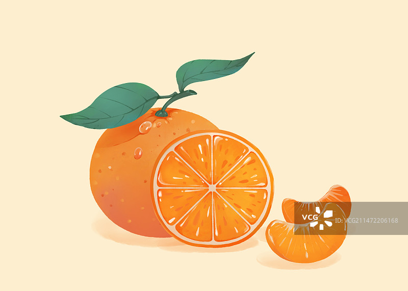 新鲜的带着水珠的砂糖橘手绘插画图片素材